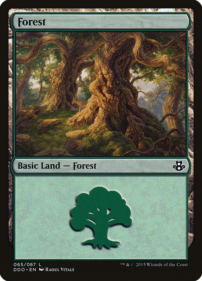 Forest (65) [Duel Decks: Elspeth vs. Kiora] | Spectrum Games