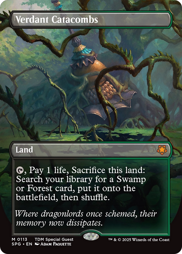 Verdant Catacombs (Borderless) [Tarkir: Dragonstorm Special Guests] | Spectrum Games