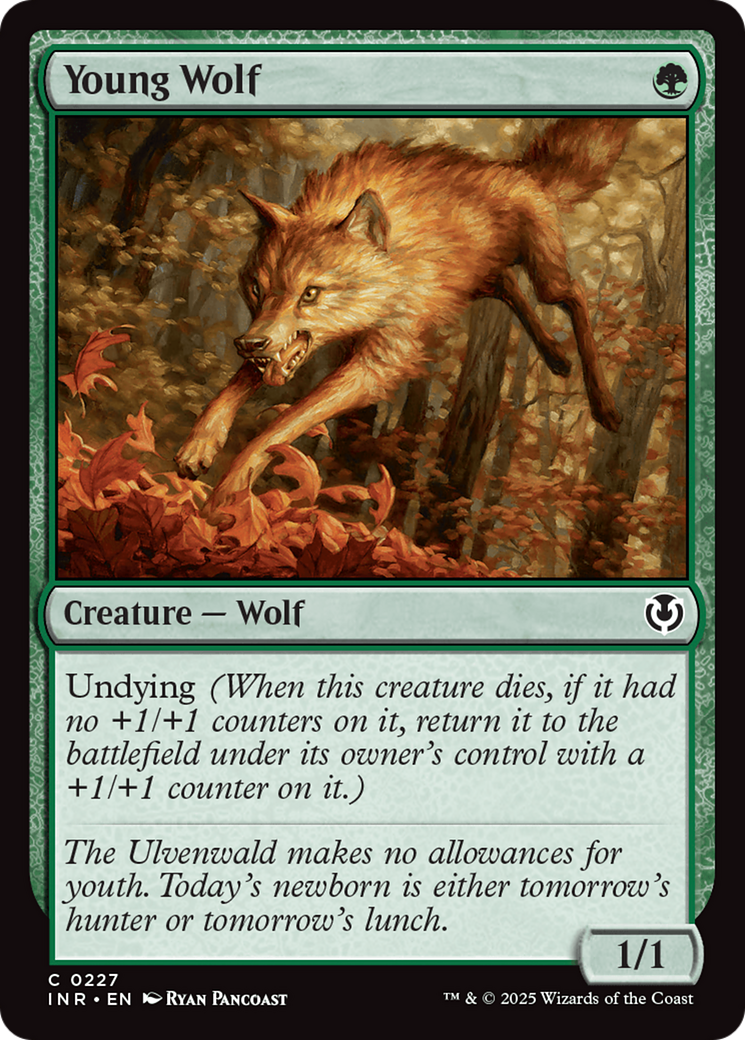 Young Wolf [Innistrad Remastered] | Spectrum Games