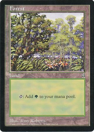 Forest (Oversized) [Oversize Cards] | Spectrum Games