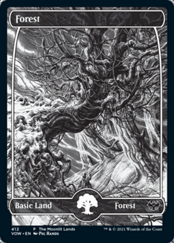 Forest (The Moonlit Lands) (Foil Etched) [Innistrad: Crimson Vow Promos] | Spectrum Games