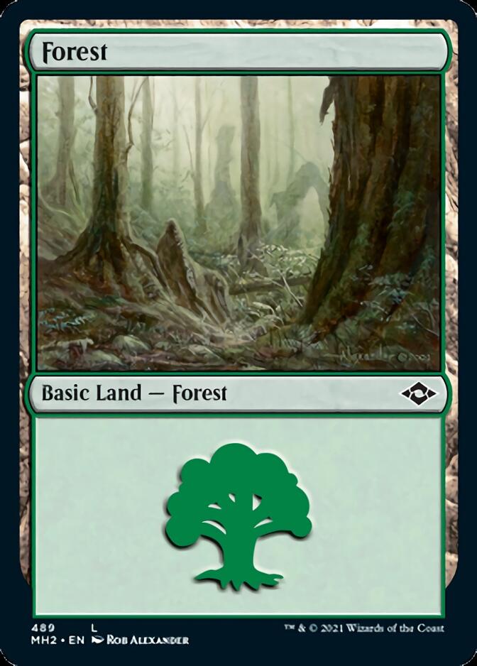 Forest (489) (Foil Etched) [Modern Horizons 2] | Spectrum Games