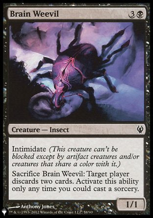 Brain Weevil [The List] | Spectrum Games