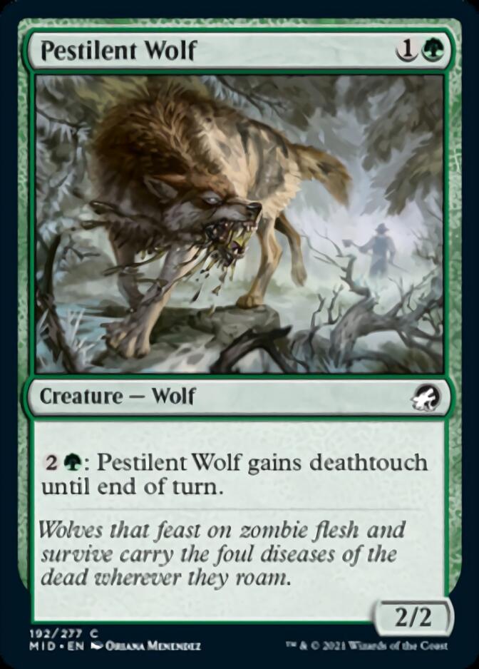 Pestilent Wolf [Innistrad: Midnight Hunt] | Spectrum Games