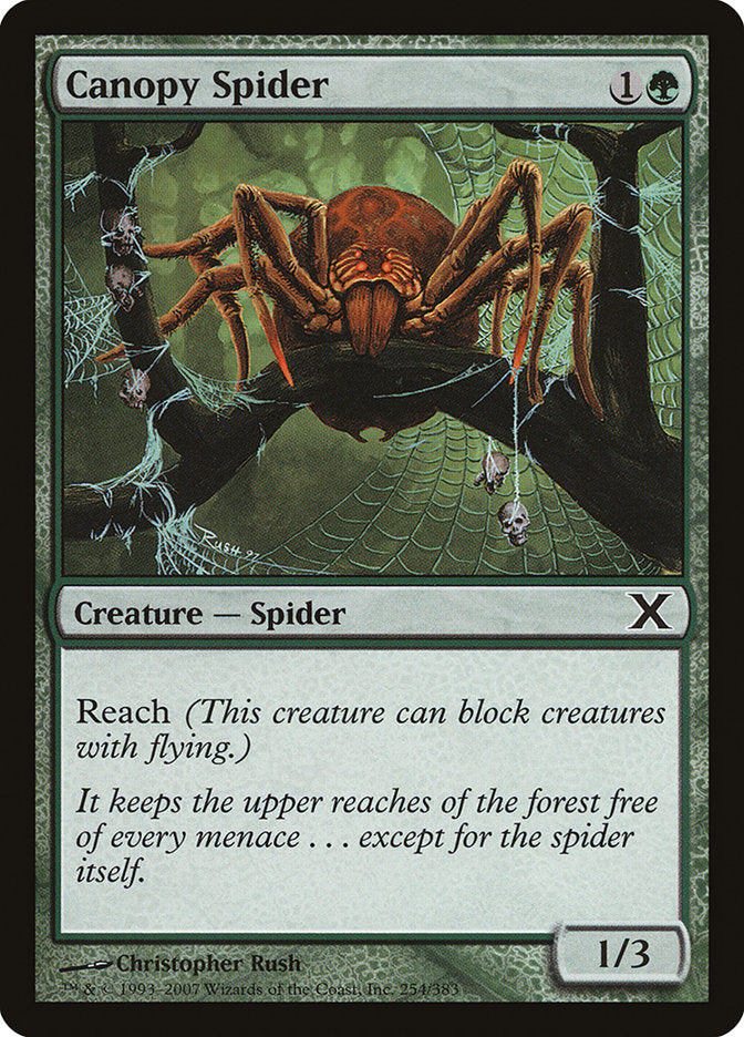 Canopy Spider [Tenth Edition] | Spectrum Games