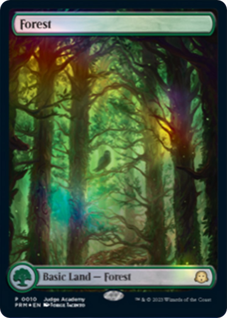 Forest [Judge Gift Cards 2023] | Spectrum Games