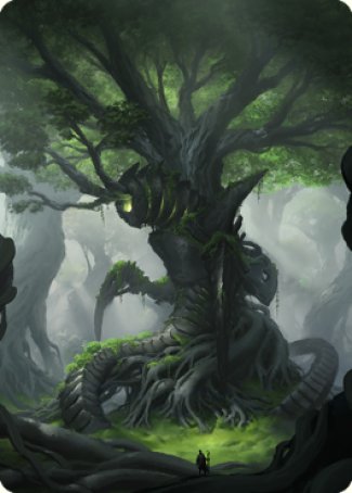 Forest Art Card [The Brothers' War Art Series] | Spectrum Games