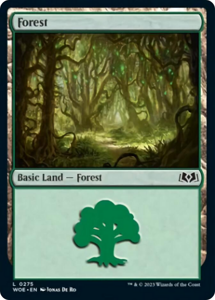 Forest (0275) [Wilds of Eldraine] | Spectrum Games