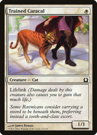 Trained Caracal [Return to Ravnica] | Spectrum Games