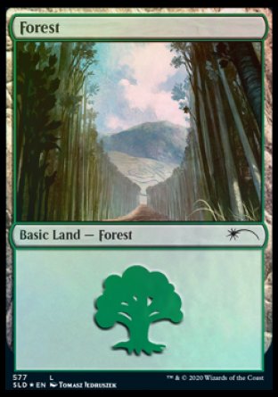 Forest (Walls) (577) [Secret Lair Drop Promos] | Spectrum Games