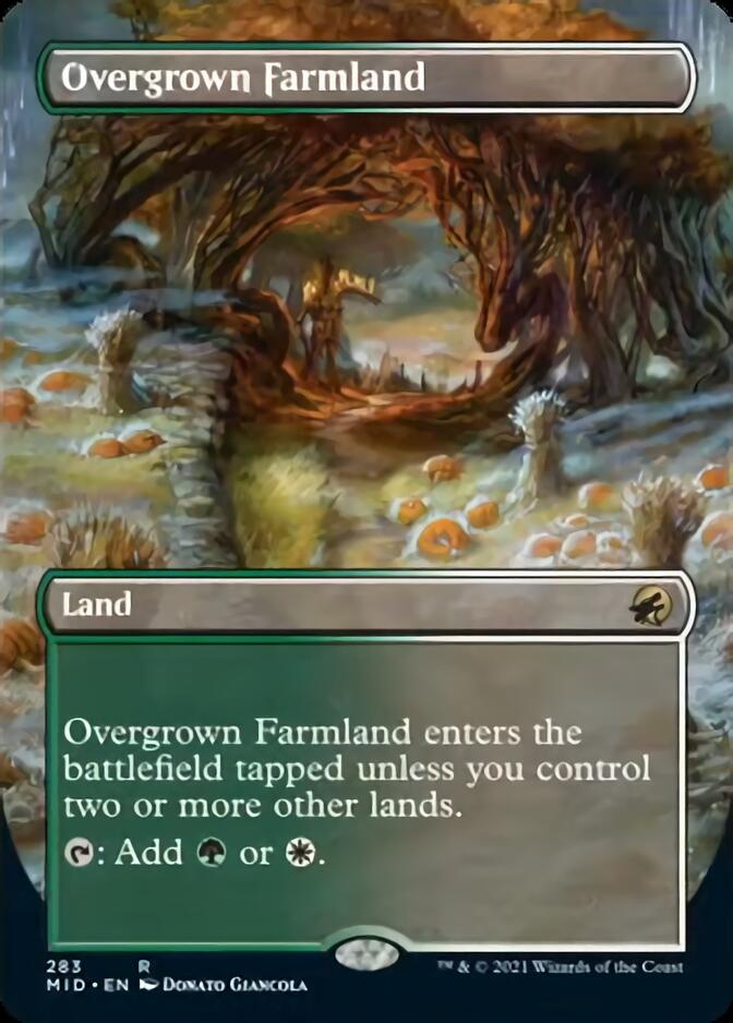 Overgrown Farmland (Borderless) [Innistrad: Midnight Hunt] | Spectrum Games