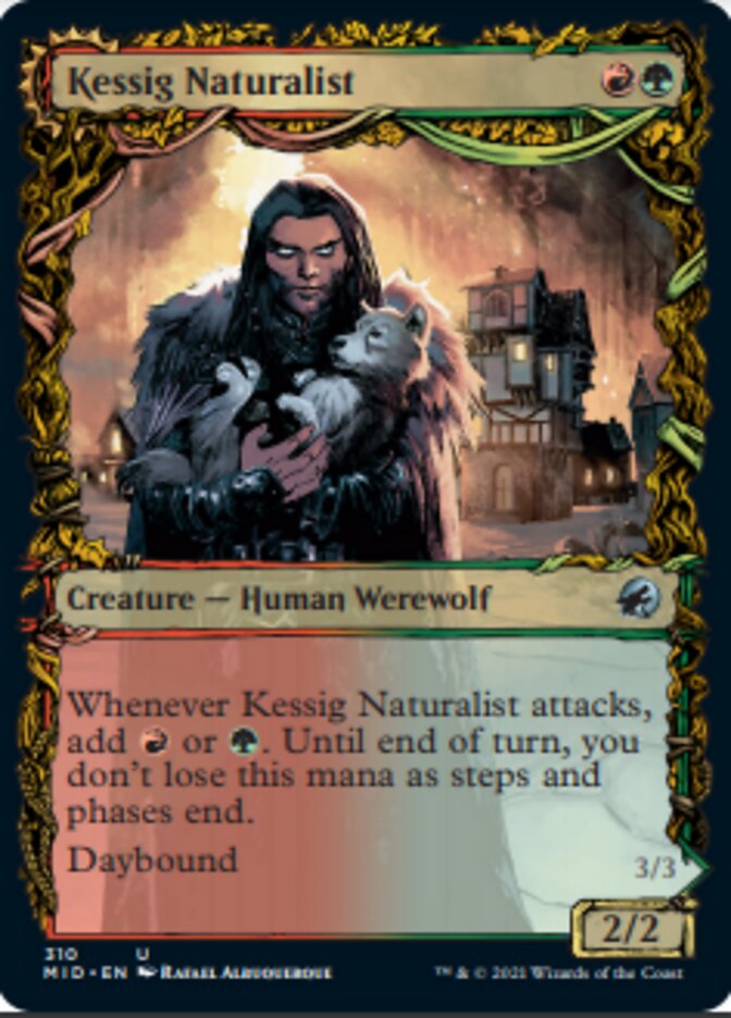 Kessig Naturalist // Lord of the Ulvenwald (Showcase Equinox) [Innistrad: Midnight Hunt] | Spectrum Games