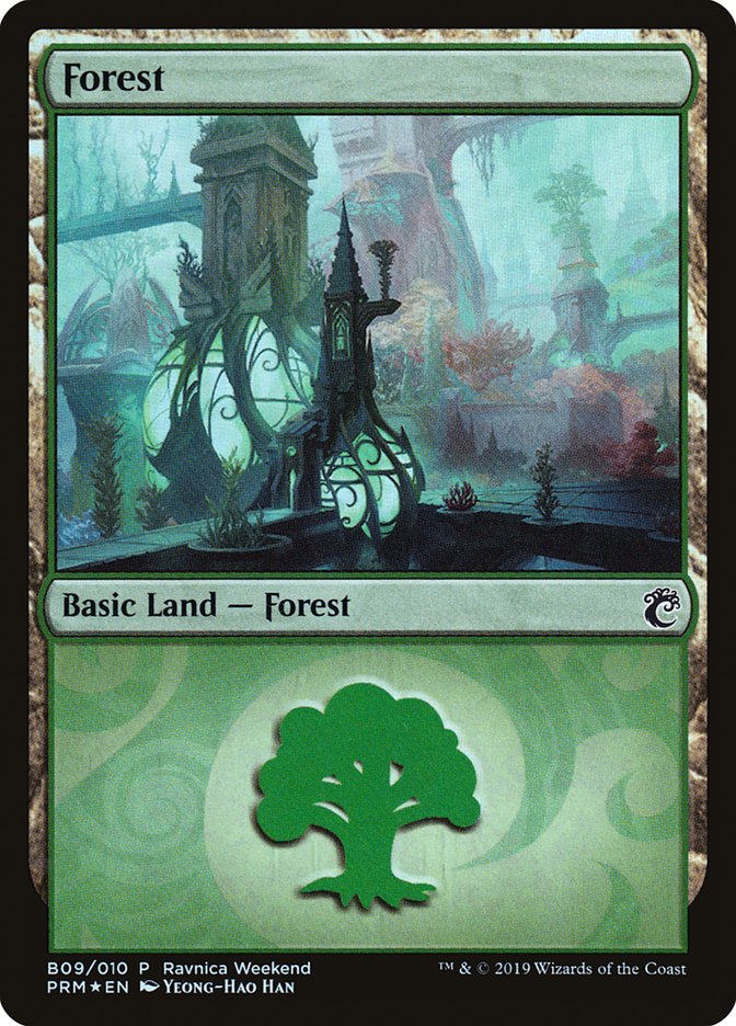 Forest (B09) [Ravnica Allegiance Guild Kit] | Spectrum Games