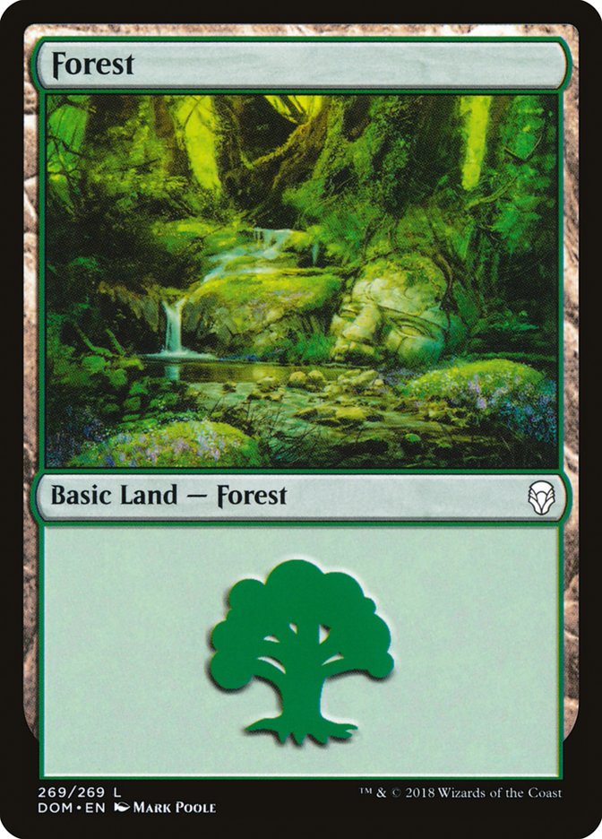 Forest (269) [Dominaria] | Spectrum Games