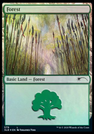 Forest (Elves) (579) [Secret Lair Drop Promos] | Spectrum Games