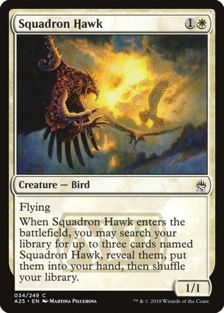 Squadron Hawk [Masters 25] | Spectrum Games