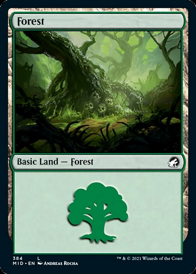 Forest (384) [Innistrad: Midnight Hunt] | Spectrum Games