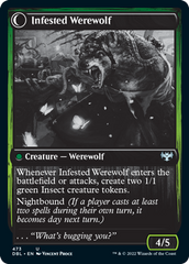 Infestation Expert // Infested Werewolf [Innistrad: Double Feature] | Spectrum Games