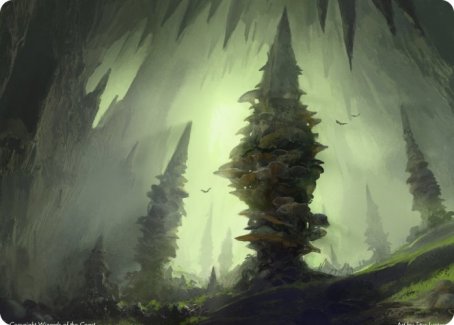 Forest (280) Art Card [Dungeons & Dragons: Adventures in the Forgotten Realms Art Series] | Spectrum Games