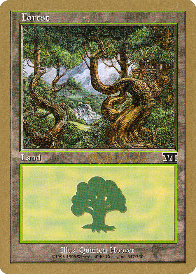 Forest (ml347b) (Matt Linde) [World Championship Decks 1999] | Spectrum Games